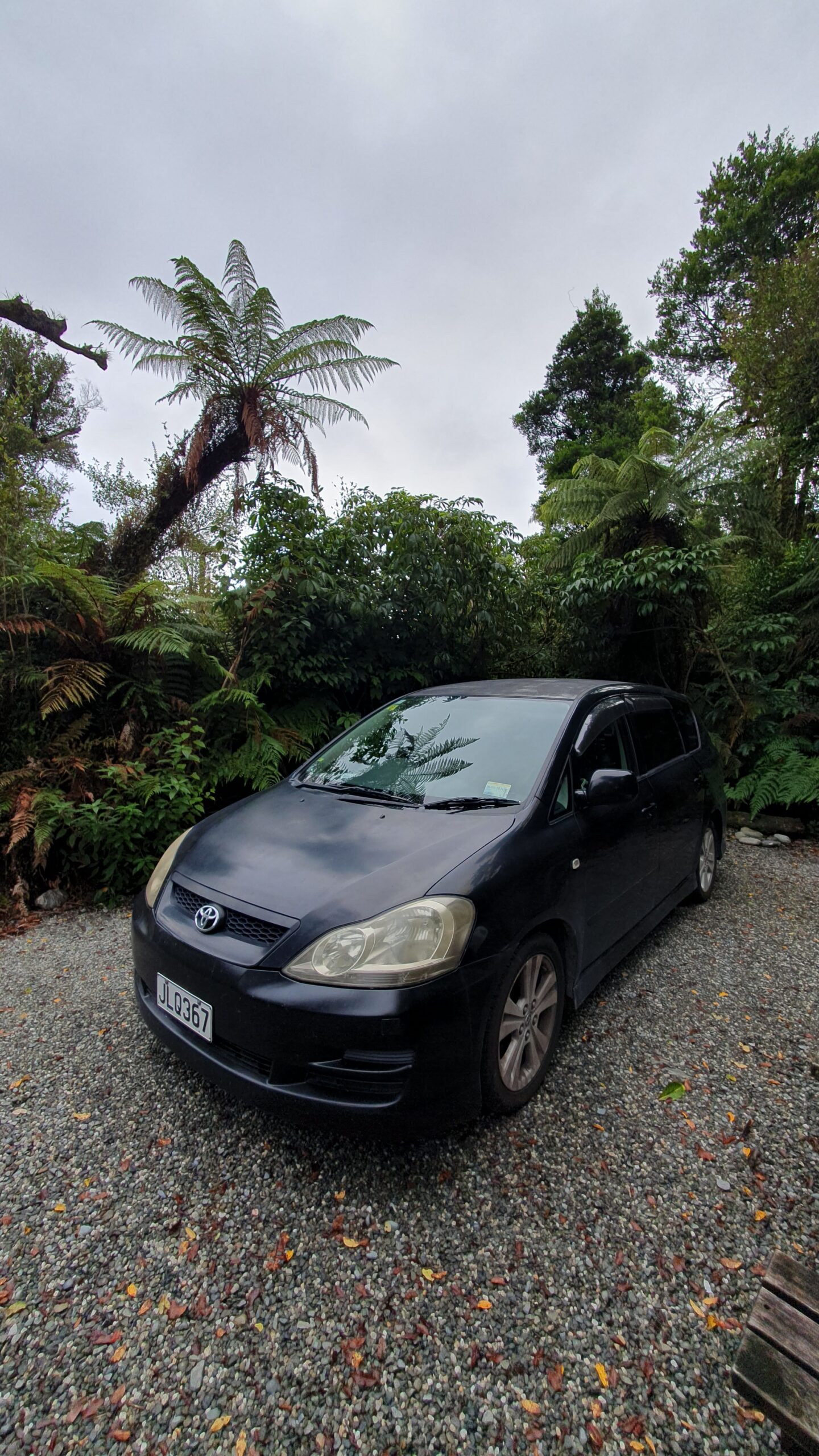 Toyota Ipsum