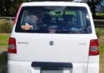 Van Suzuki APV 2008