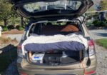 2009 Subaru Forester – Camper or Car